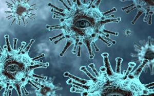 Heboh Virus Nipah Bisa Jadi Pandemi Baru, Kemenkes Beri Peringatan Ini