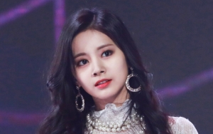 Rumah Tzuyu TWICE Kemalingan, Pelaku dan Barang yang Dicuri Tak Terduga