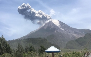 Erupsi Gunung Merapi Sebabkan Puluhan Hektare Lahan Sayur dan Pakan Ternak Rusak