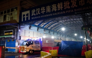 WHO Mulai Selidiki Asal Usul Corona, Sasar Pasar Hingga RS di Wuhan