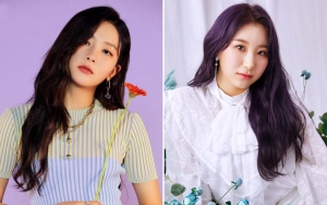 Fakta di Balik Postingan Seulgi Red Velvet dan Chaeyeon IZ*ONE Kejutkan Netizen