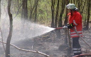 Banjir 'Tutupi' Karhutla Riau, Puluhan Hektare Lahan Terbakar dan Titik Api Meluas