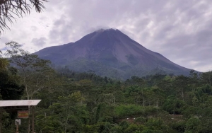 Gunung Merapi Erupsi Lagi Pagi Ini, Gugurkan Awan Panas Sejauh 800 Meter