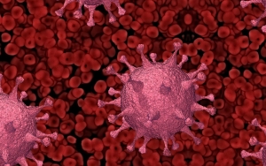 Ada Mutasi 'Hybrid' Virus Corona Ancam Jadi Gelombang Baru, Indonesia Sudah Siap?