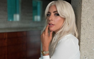 2 Anjing Lady Gaga Yang Diculik Akhirnya Kembali Dengan Selamat Pasca Sempat Tawarkan Imbalan