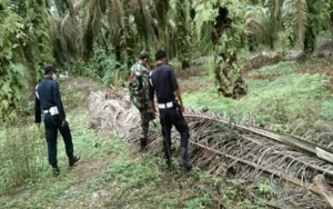 Karhutla Kembali Terjadi di Kalbar, Pontianak Diprediksi Terselimuti Kabut Asap