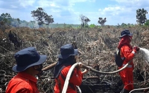 Karhutla Meluas, KLHK Targetkan Restorasi 1,2 Juta Hektar Lahan Gambut Selama 4 Tahun