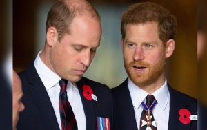 Pangeran Harry Dan William Akan Bertemu Untuk Mencairkan Suasana Sebelum Hari Kematian Putri Diana