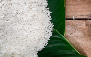 Polemik Impor Beras Memanas, Kementerian Pertanian Beri Solusi