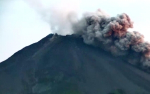 Merapi Kembali Luncurkan Awan Panas Sejauh 1,6 KM, BPPTKG Ingatkan Bahaya Erupsi Eksplosif