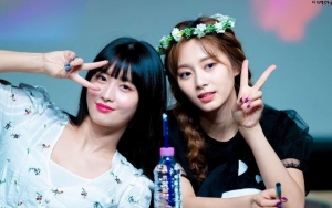 Momo TWICE Alami Insiden Lucu tapi 'Menyakitkan' di Atas Panggung yang Libatkan Tzuyu 