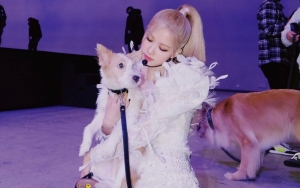 Rose BLACKPINK Meski Sayang Ternyata Juga Dibuat Sedih Anjing Peliharaannya, Kenapa?