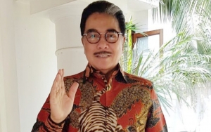 Hotma Sitompul Disebut 'Otak' Pelaporan ART Terhadap Desiree Tarigan, Ini Kata Pengacara