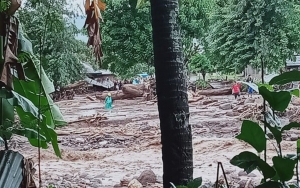 Total Korban Jiwa Banjir NTT Bertambah Jadi 174 Orang