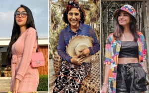 Video Lucinta Luna Diduga Siksa Lumba-Lumba, Susi Pudjiastuti Hingga Kirana Larasati Auto Murka