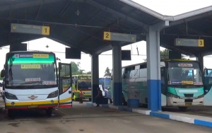 Miris! Biasa Jadi Sektor Unggulan Saat Lebaran, Kini Pengusaha Tranportasi Terancam Bangkrut