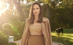 Angelina Jolie Ungkap Bagaimana Perceraiannya Dengan Brad Pitt Pengaruhi Tujuan Karirnya