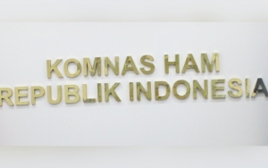 BIN Sebut KKB Penembak Kabinda Papua Teroris, Komnas HAM: Perlu Berhati-Hati