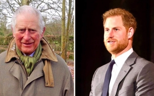 Pangeran Charles Kabarnya Masih Sulit Beri Maaf Pangeran Harry Pasca Wawancara Oprah Winfrey