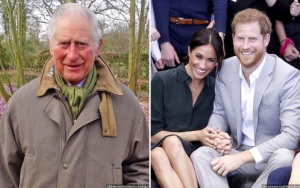 Ucapan Ulang Tahun Pangeran Charles Untuk Archie Putra Meghan Markle Tuai Kritik Karena Hal Ini