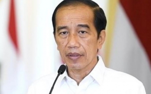 Istana Beri Penjelasan Soal Video Viral yang Sebut Rombongan Jokowi Pulang Kampung