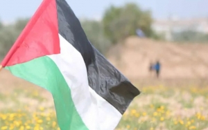 Indonesia, Malaysia dan Brunei Rilis Pernyataan Bersama, Kutuk Serangan Israel ke Palestina