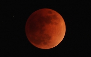 Gerhana Bulan Total 'Super Blood Moon' Nanti Malam, Warga Surabaya Waspada Banjir Rob