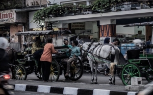 Viral Harga Mahal Pecel Lele di Malioboro, Begini Temuan   Pemkot Yogyakarta 