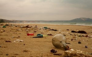 Tak Hanya Mengapung di Permukaan, Sampah Plastik Sudah Sampai ke Palung Laut Terdalam di Bumi