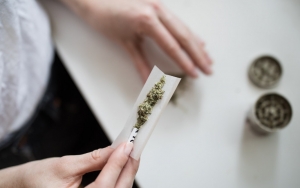 Polisi Grebek Pabrik Narkoba Di Bogor, Sita Lebih Dari 100 Kg Ganja Sintetis