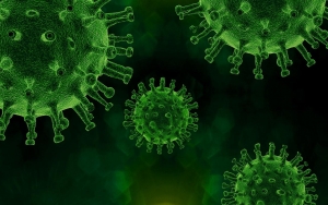 Kasus Langka Flu Burung H10N3 Ditemukan di Tiongkok, Mungkinkah Jadi Wabah Baru?