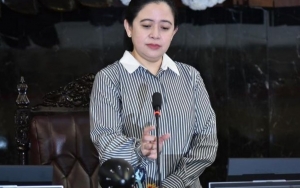 PDIP Buka Suara Soal Analogi yang Samakan Puan Maharani Dengan Teh Botol  