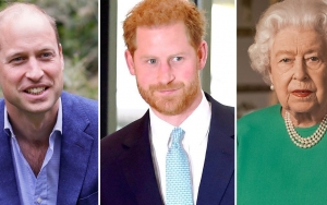 Kepercayaan Pangeran William Pada Harry 'Hilang', Ratu Elizabeth II Disebut Jadi Kunci Perdamaian