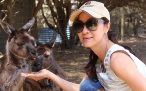 Peran Michelle Yeoh Akhirnya Terungkap di Trailer Baru 'Shang-Chi And The Legend Of The Ten Rings' 