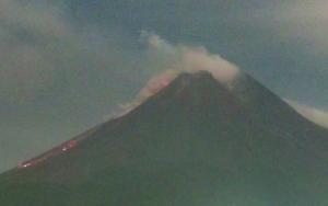 Gunung Merapi Masih Keluarkan Awan Panas, Guguran Lava Berpotensi Sejauh 5 Km