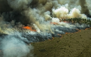 Brasil Kembali Kerahkan Tentara Militer Atasi Kebakaran di Hutan Amazon