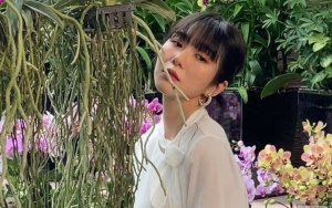 Mina Malah Tuai Hujatan Usai Sebut Ada Member AOA yang Doyan Lakukan Hubungan Seksual
