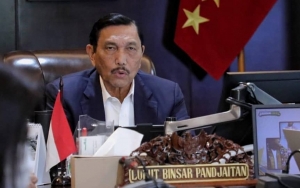 Kenapa RI Tetap Terima WNA Meski PPKM Darurat? Ini Kata Menko Luhut