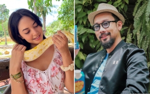 Imbas Bikin Video Lamar Aurelie Moeremans, Denny Sumargo 'Mati Kutu' Kena Amuk Istri