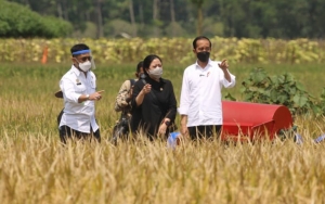 Kritik Jokowi Hingga Puan Maharani di Medsos, BEM KM Unnes Dibina Rektorat