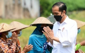 Berikut 3 Jenis Paket Obat Gratis yang Dibagikan Jokowi Untuk Pasien COVID-19 Isoman
