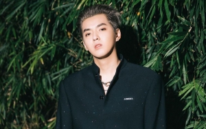 Buntut Skandal Pelecehan, Kris Wu Dicopot Jadi BA Brand Mewah Louis Vuitton Hingga Porsche