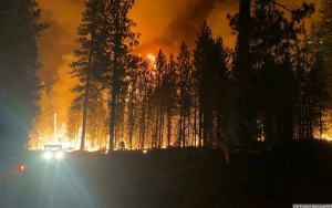 Kanada Umumkan Status Darurat Imbas Lonjakan Kebakaran Hutan