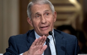 Anthony Fauci Soal Lonjakan Kasus COVID-19 di Banyak Wilayah: AS Berjalan ke Arah yang Salah