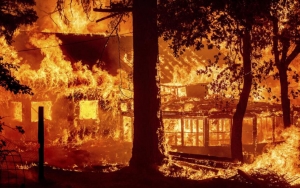 Kebakaran Hutan Terbesar California Hanguskan Banyak Rumah Di Daerah Terpencil