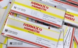 ICW Buka Suara Usai Disomasi Moeldoko Terkait Ivermectin