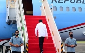 Alasan Pesawat Kepresidenan Baiknya Berwarna Biru-Putih Menurut Pakar