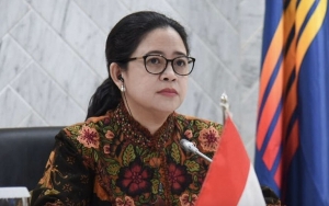 'Banjir' Baliho Puan Maharani Diduga Demi Persiapan Capres 2024, PDIP Buka Suara