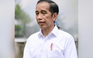 Polisi Kejar Pembuat Mural 'Jokowi 404: Not Found' Bikin Warganet Heran