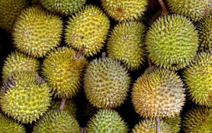 Pasar Tiongkok Temukan Virus Corona di Permukaan Paket Durian Impor Thailand